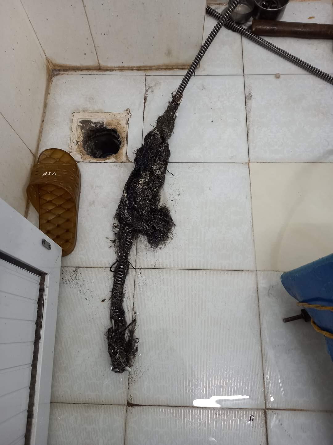 z5579849386228 287e824e0bab30a04c961445e9abd1fa