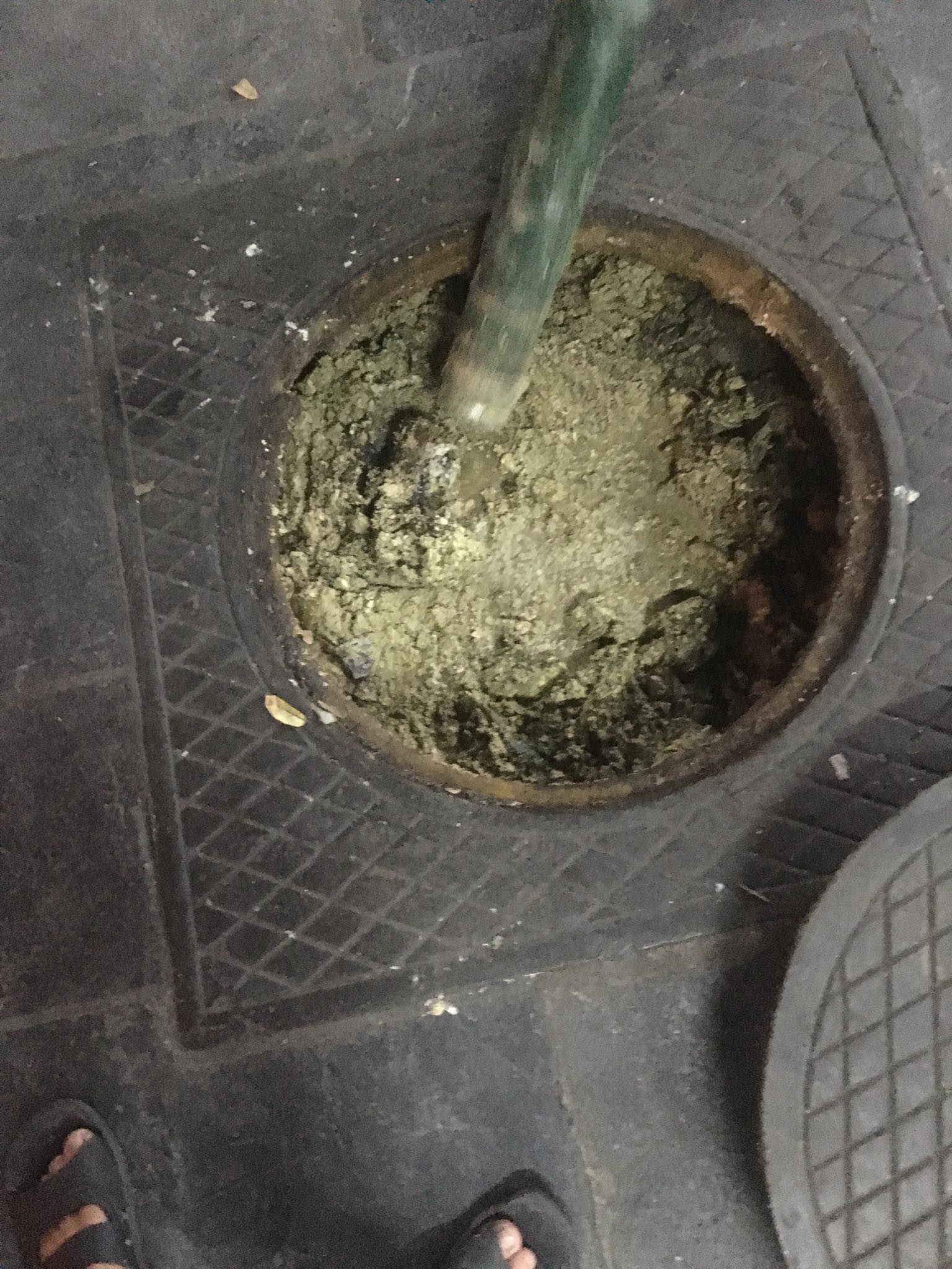 z5579849453280 a4ec7b50c733d963a73471bb8589ee30